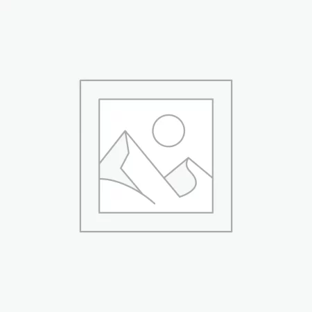 عنصر نائب Placeholder